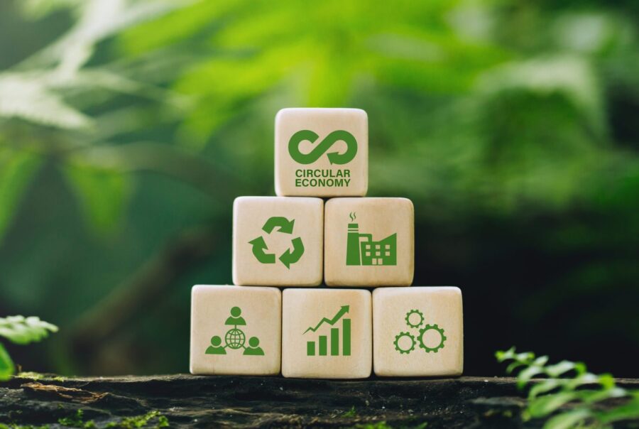 carbon removal strategy