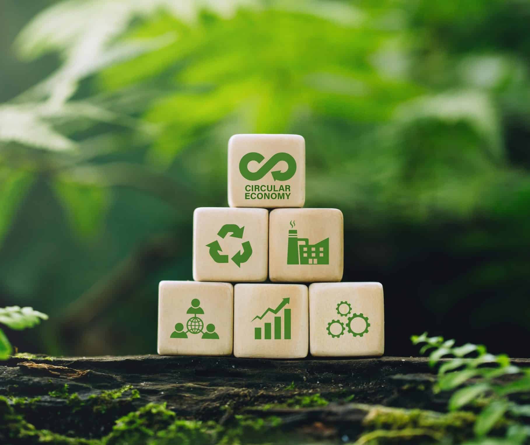 carbon removal strategy